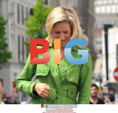 Sophie Raworth Attacked by Bee