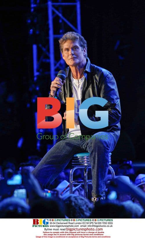 David Hasselhoff Performs Concert in Austria