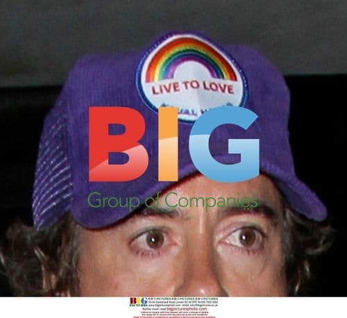 Robert Downey Jr. Dinner in Malibu