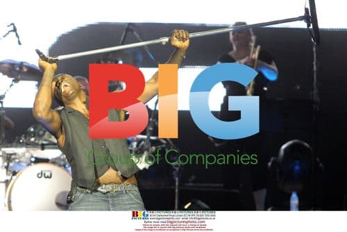 Seal Performing in Zadar, Croatia