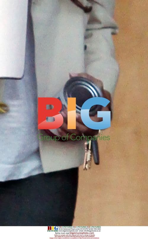 Ashley Tisdale Picking Up Dog Food