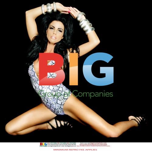 Katie Price in Snakeskin Swimsuit