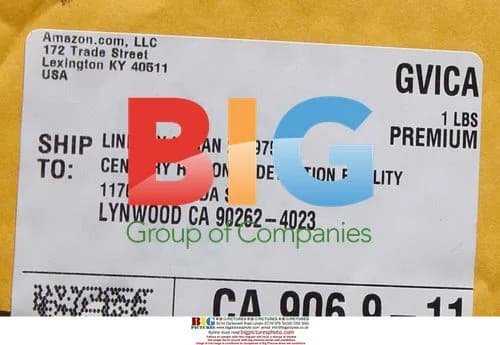 Lindsay Lohan Receives Amazon Packages in Jail