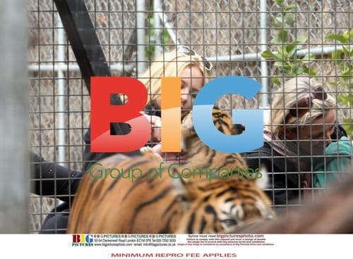 Kylie Minogue and Andres Velencoso at Melbourne Zoo