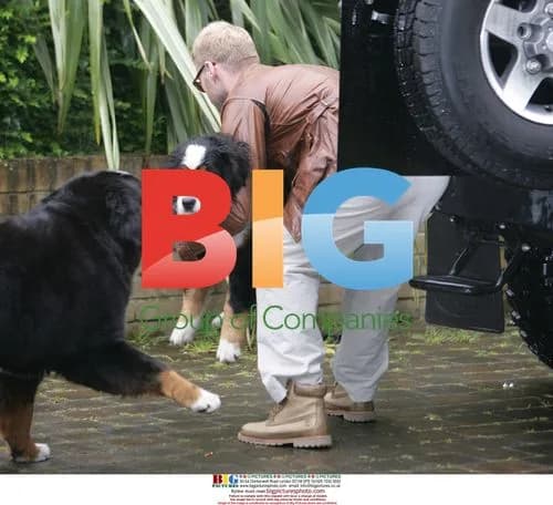 Ronan Keating with family dogs