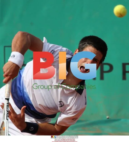 Novak Djokovic at 2010 French Open