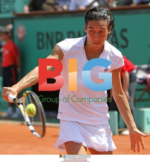 Francesca Schiavone at French Open Semifinal