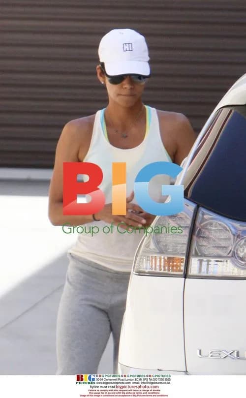 Halle Berry Picks Up House Plans