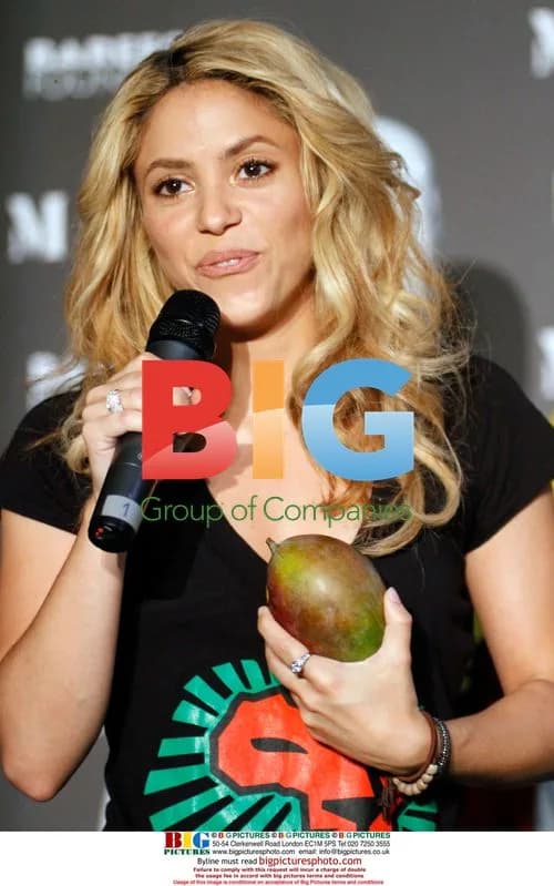 Shakira Attends Mango Photocall