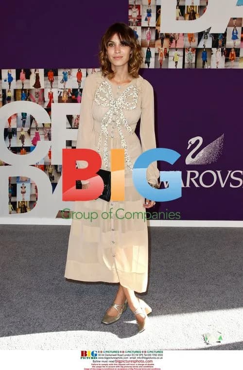 Alexa Chung at 2010 CFDA Fashion Awards