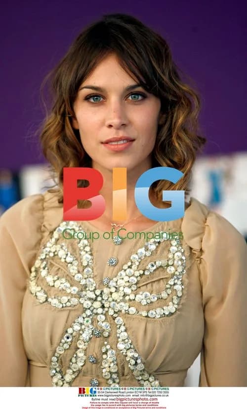 Alexa Chung at 2010 CFDA Fashion Awards