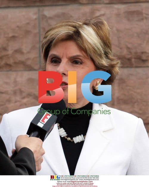 Gloria Allred Commenting Outside Charlie Sheen Court