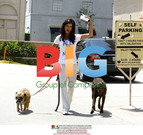 Janice Dickinson walking dogs in Beverly Hills