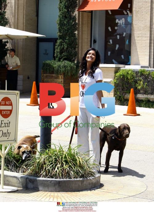 Janice Dickinson walks dogs in Beverly Hills