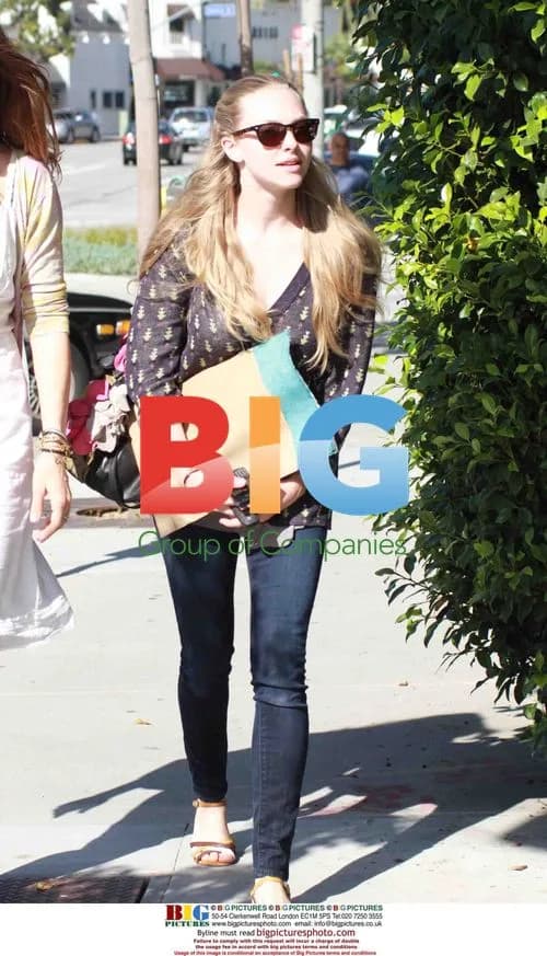 Amanda Seyfried shops in West Hollywood