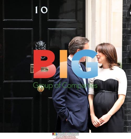 David Cameron and Samantha Cameron await Nicolas Sarkozy and Carla Bruni