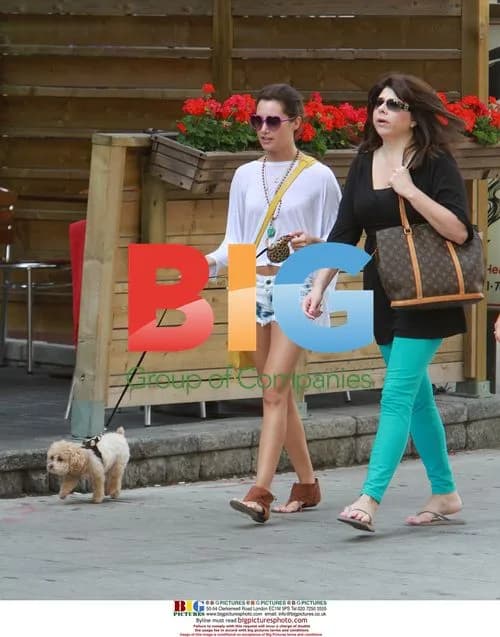 Ashley Tisdale Walks Dog in Toronto