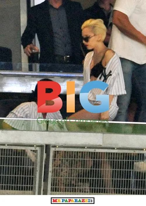Lady Gaga Cheers Yankees at Subway Series