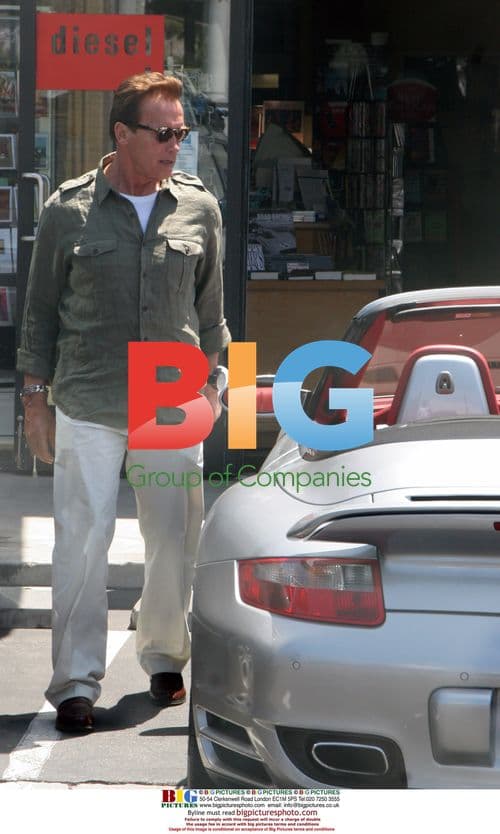 Arnold Schwarzenegger's Family Brunch in Malibu