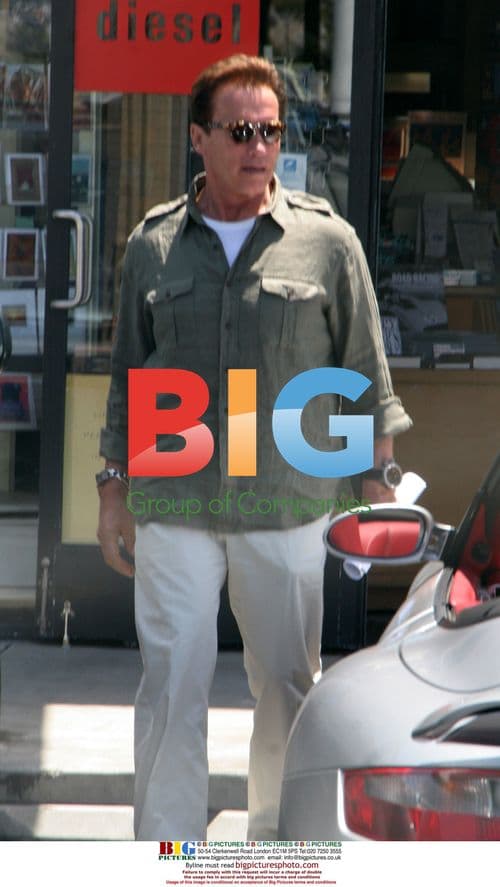 Arnold Schwarzenegger's Family Brunch in Malibu