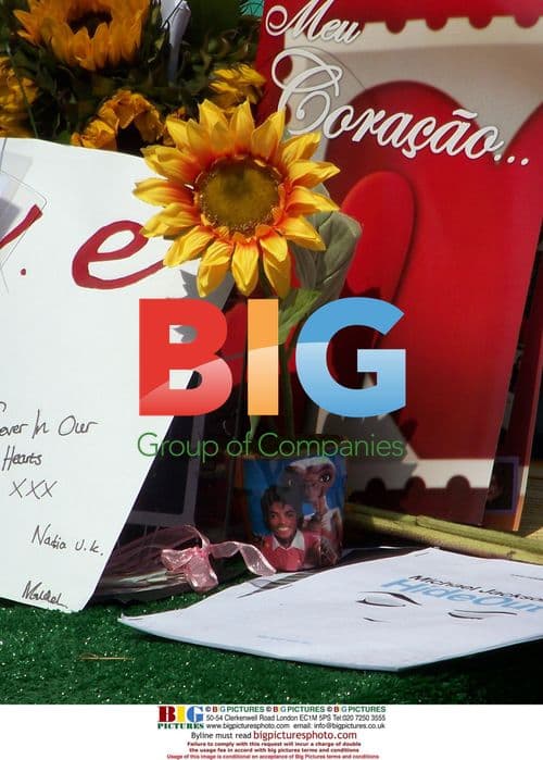 Fans mourn Michael Jackson at Forest Lawn Cemetery