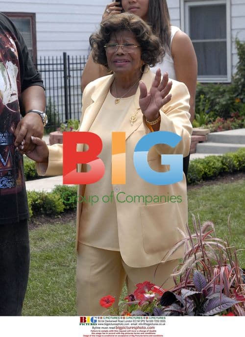 Michael Jackson Memorial Unveiling