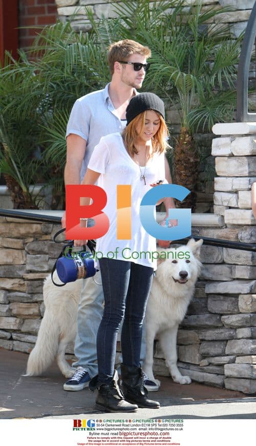 Miley Cyrus and Liam Hemsworth with Pet Dog