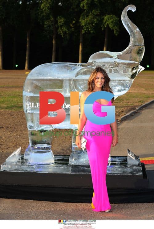 Elizabeth Hurley at Elephant Parade Auction