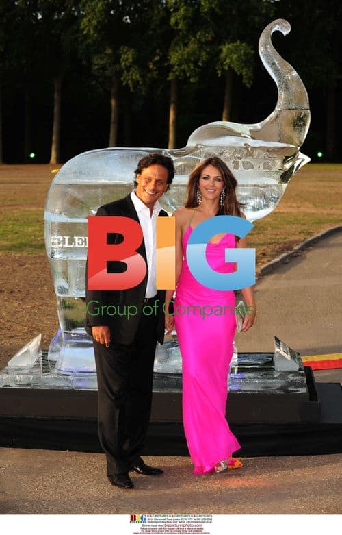 Arun Nayar and Elizabeth Hurley at Elephant Parade Auction