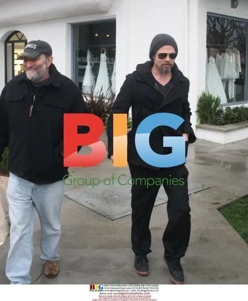 Brad Pitt spotted shopping with friend