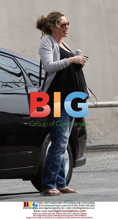 Pregnant Rebecca Gayheart Lunches with Friends