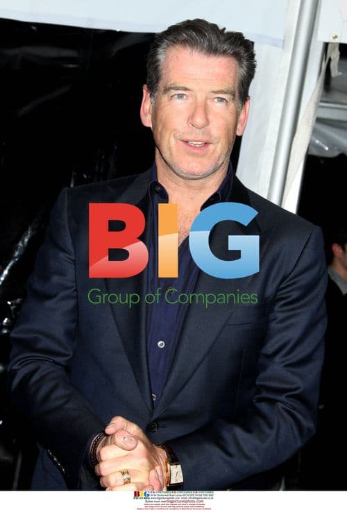 Pierce Brosnan at 'Remember Me' Premiere