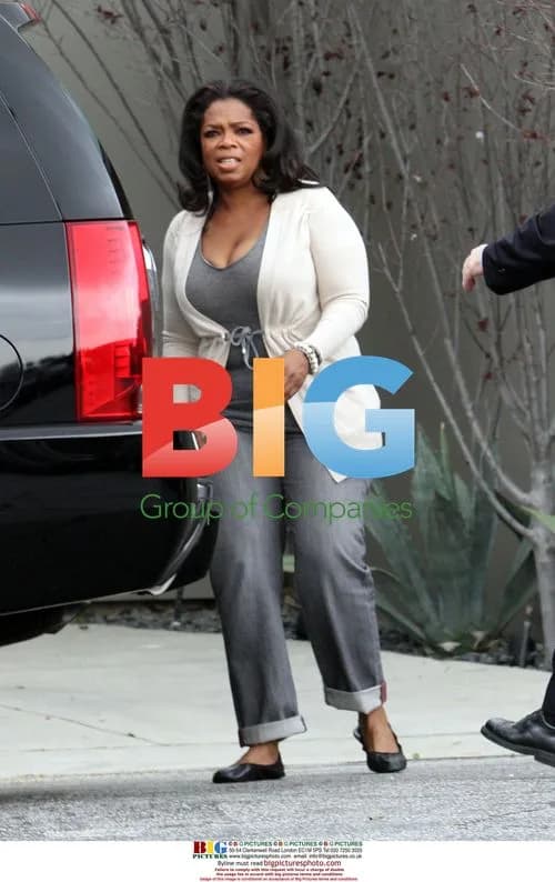 Oprah Winfrey visits friend's house in LA