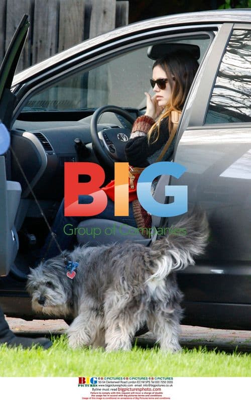 Rachel Bilson with Script and Dog