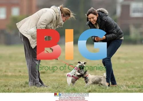 Kelly Brook Takes Dog Rocky to Park