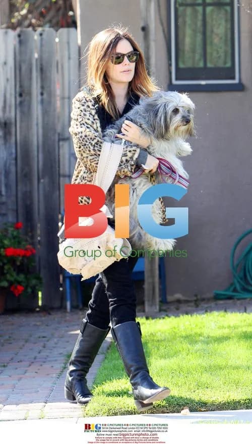 Rachel Bilson with dog in North Hollywood
