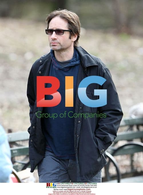 David Duchovny in Central Park