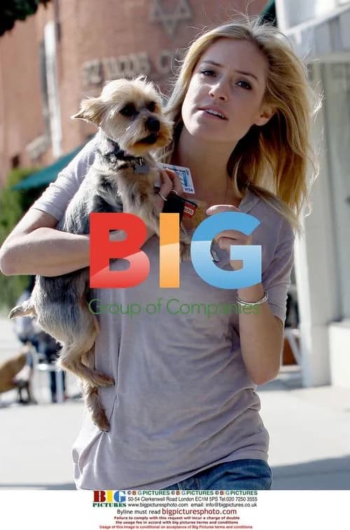 Kristin Cavallari Pampers Yorkie Rocco