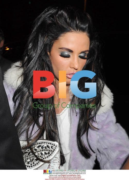 Katie Price and guests leaving VIP Style Awards in Dublin