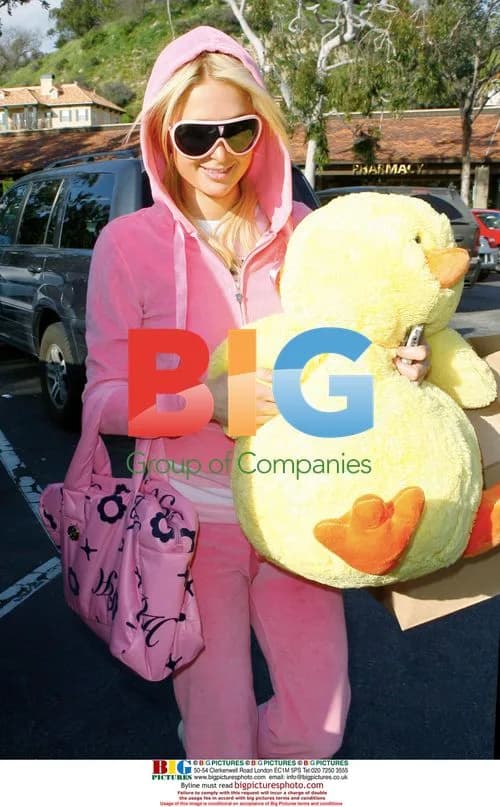 Paris Hilton Buys Chick Toy