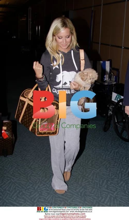 Ashley Tisdale with dog Maui