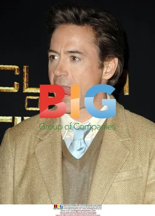 Robert Downey Jr. at WB Films ShoWest 2010