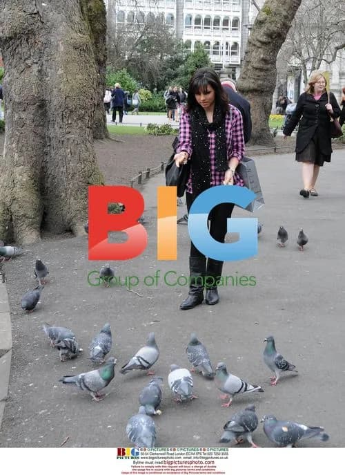 Roxanne Pallett feeding swans in Dublin