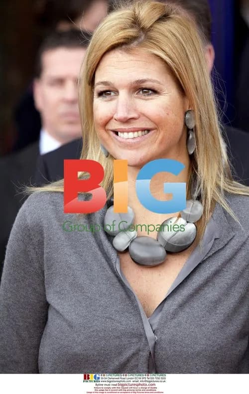 Princess Maxima at Netherlands Event
