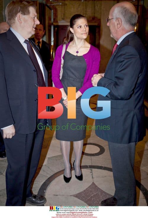 Crown Princess Victoria at Brain Foundation Event