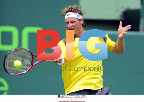 David Nalbandian at Sony Ericsson Open