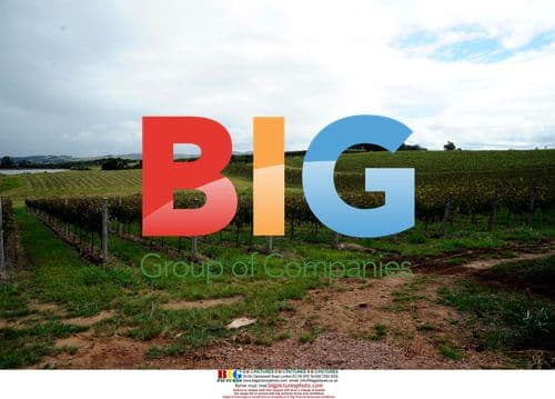 Patricia Bundchen's Wedding in Brazil