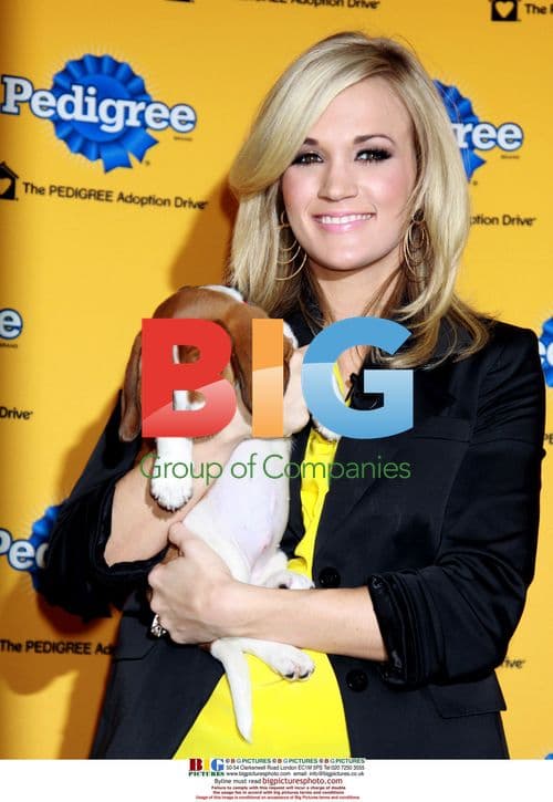 Carrie Underwood at Pedigree Adoption Drive