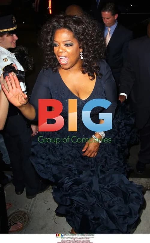 Oprah Winfrey at Costume Institute Gala Party