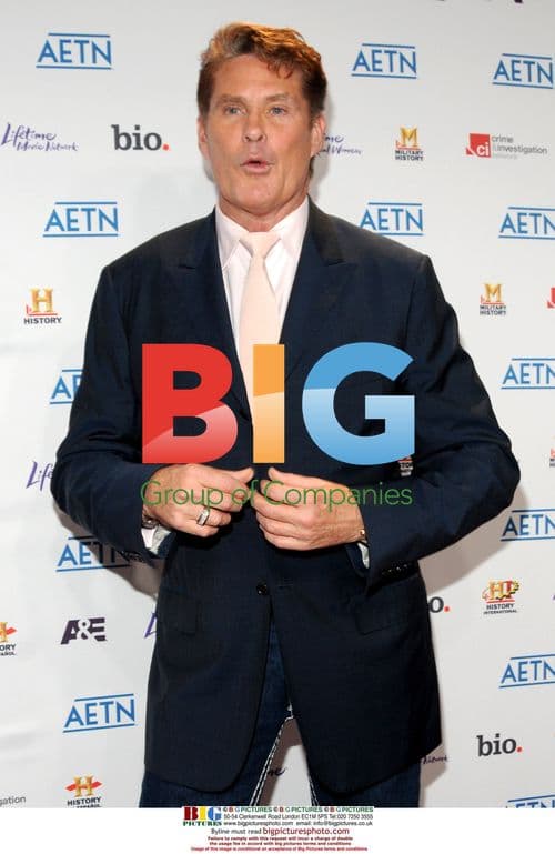 David Hasselhoff at 2010 A&E Upfronts